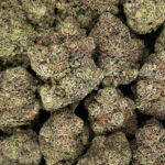 Blue Zushi Strain District Connect Washington DC weed delivery