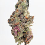 Montana Silver Strain District Connect Washington DC weed delivery