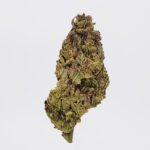 Purple Cake Batter Strain District Connect weed delivery
