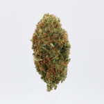 Super Jack Strain District Connect Washington DC weed delivery