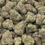 Animal Mints Strain District Connect Washington DC weed delivery