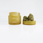 Juicy Lucy Strain District Connect Washington DC weed delivery
