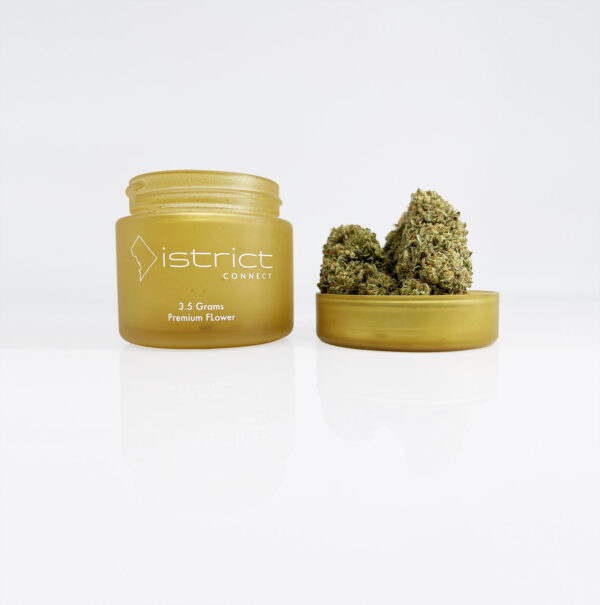 Juicy Lucy Strain District Connect Washington DC weed delivery