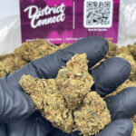 OG Strain District Connect Washington DC weed delivery