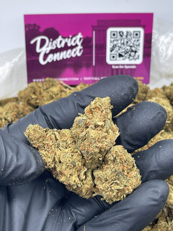 OG Strain District Connect Washington DC weed delivery