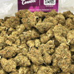 OG Strain District Connect Washington DC weed delivery