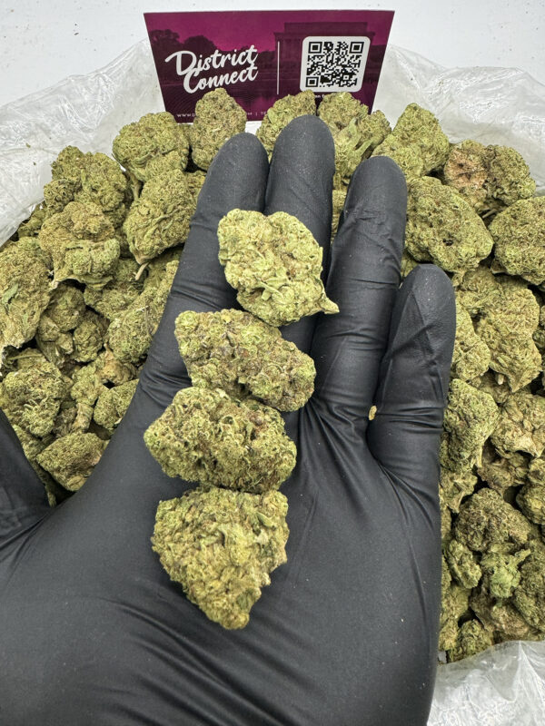 Kush Mints Oz Deal **OUT OF STOCK** District Connect Washington DC