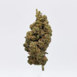 Pink cookies Strain District Connect washington DC weed delivery
