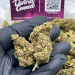 Pink cookies Strain District Connect washington DC weed delivery