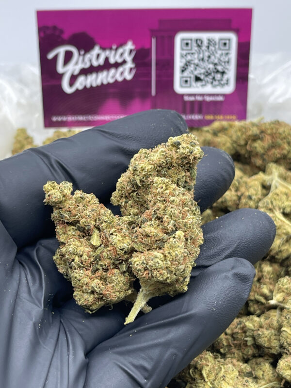 Pink cookies Strain District Connect washington DC weed delivery