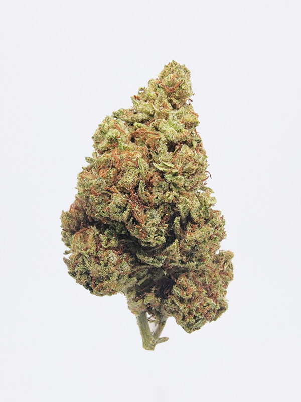 Watermelon Z Strain District Connect Washington DC weed delivery