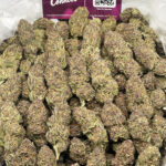 Forbidden Dream Strain District Connect Washington DC weed delivery