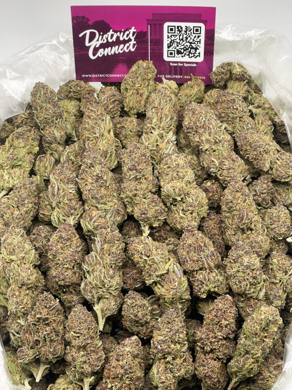 Forbidden Dream Strain District Connect Washington DC weed delivery