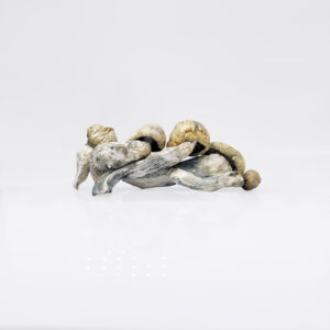 Thrasher Magic Mushroom Strain District Connect Washington DC weed delivery