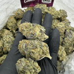 Platinum Bubba Strain District Connect washington dc weed delivery