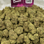 Grandi Guava Strain District Connect Washington DC weed delivery