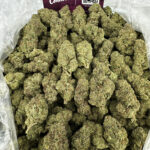 JillyBean Strain District Connect washington dc weed delivery