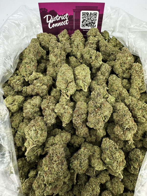 JillyBean Strain District Connect washington dc weed delivery