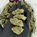 JillyBean Strain District Connect dmv weed delivery
