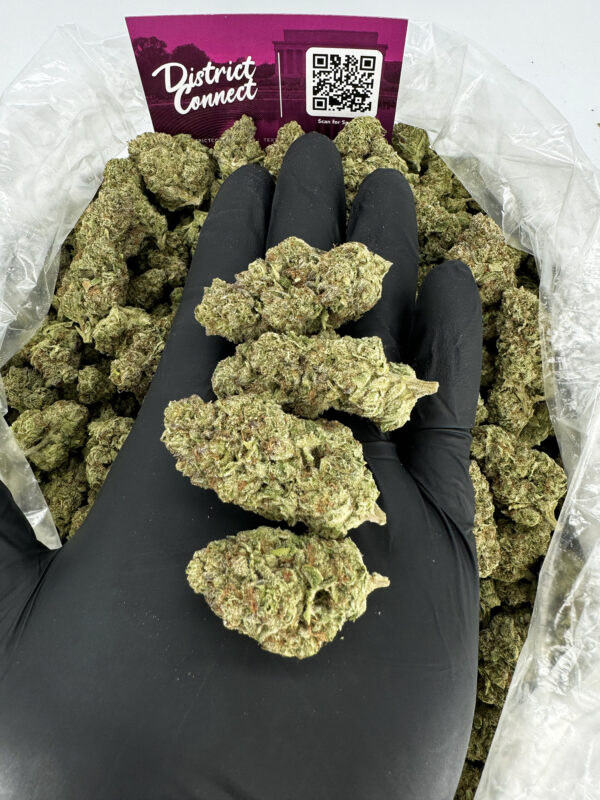 JillyBean Strain District Connect dmv weed delivery