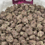 Purple Champagne Strain District Connect Washington DC weed delivery