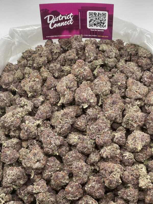 Purple Champagne Strain District Connect Washington DC weed delivery
