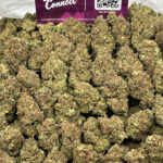 RS11 Strain District Connect Washington DC weed delivery