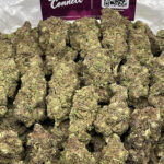 Sugar Biscuit Strain District Connect Washington DC weed delivery