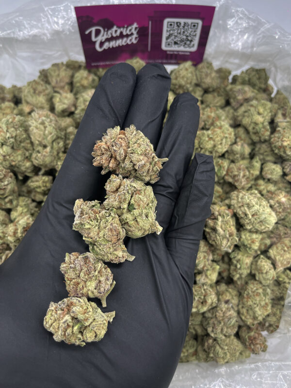 Grand Daddy Purp Strain District Connect Washington DC weed delivery