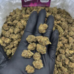 Grape Pie Strain District Connect Washington DC weed delivery