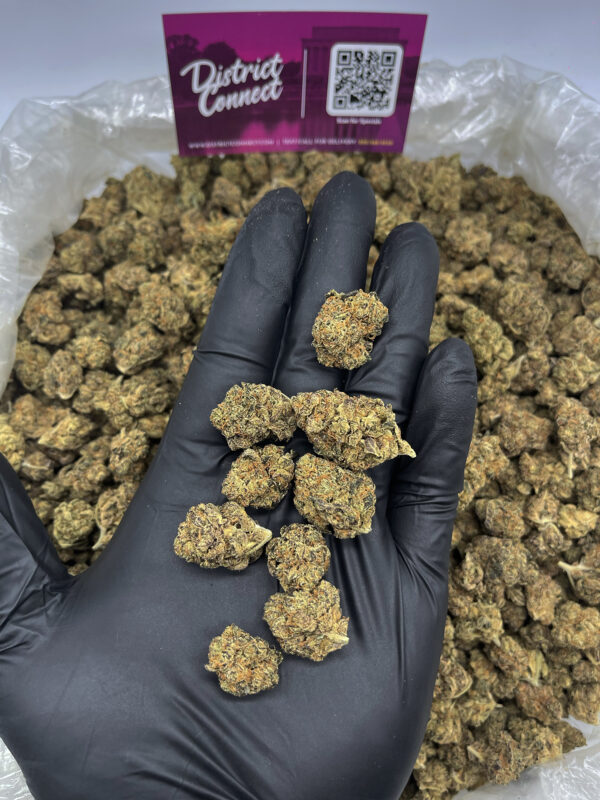 Grape Pie Strain District Connect Washington DC weed delivery