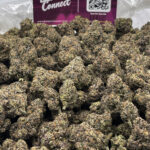 Lemon Cherry Gelato Strain District Connect Washington DC weed delivery