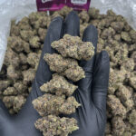 Lemon Cherry Gelato Strain District Connect Washington DC weed delivery