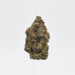 Lemon Cherry Gelato Strain District Connect Washington DC weed delivery