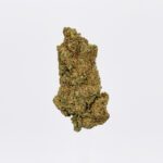 Jack herer Strain District Connect Washington DC weed delivery