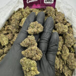 Cereal Milk Strain District Connect dmv weed delivery