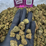 Pineapple Express Strain District Connect Washington DC weed delivery