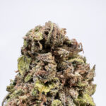 Mango Kush Strain District Connect washington dc weed delivery