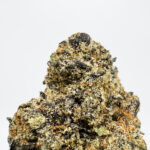 Lemon Guava Gelato Strain District Connect washington dc weed delivery