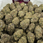 Chocoholic Strain District Connect washington dc weed delivery