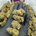 Cherry Noir Strain District Connect washington dc weed delivery dmv