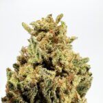 Cherry Noir Strain District Connect washington dc weed delivery