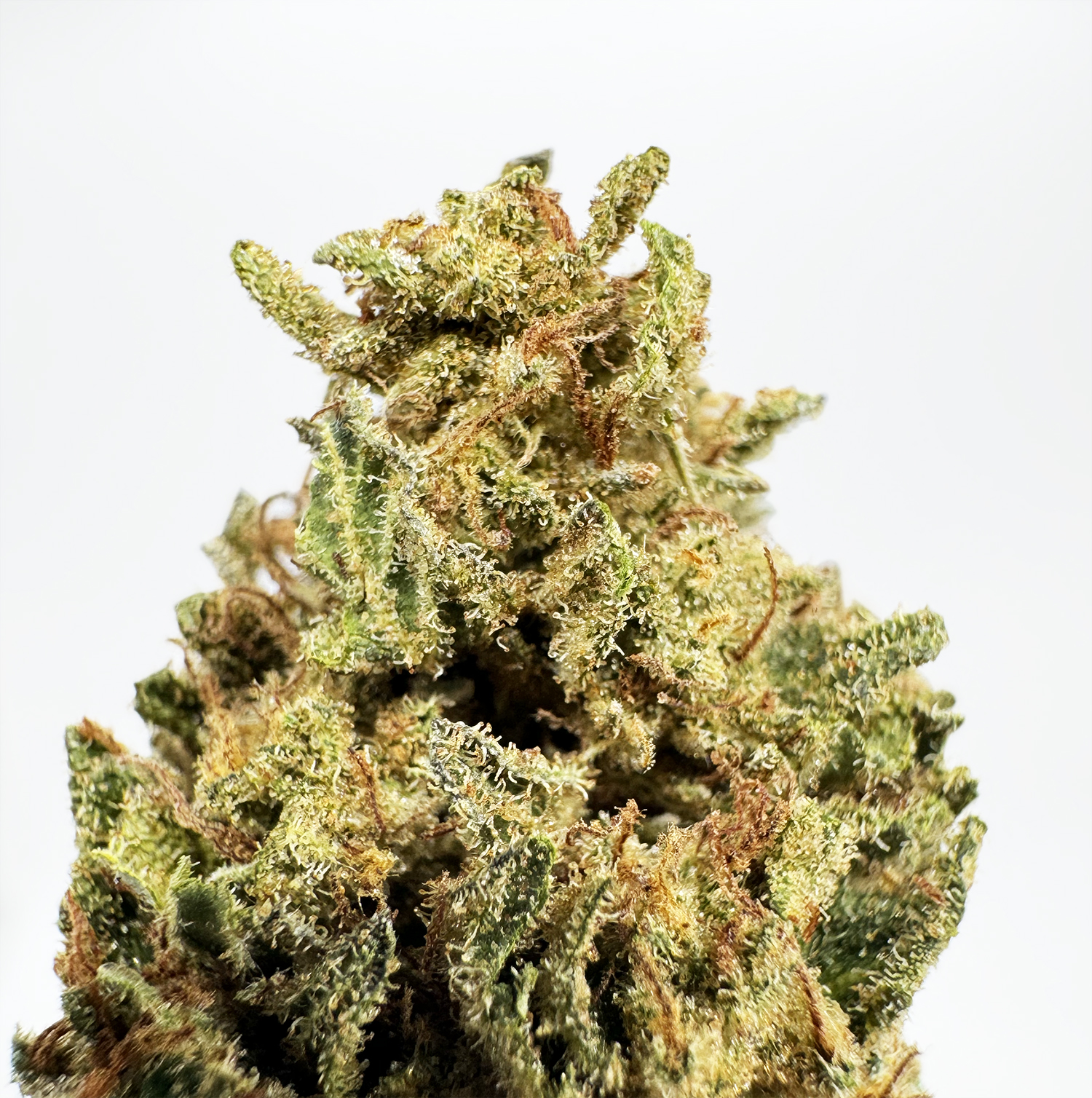 Cherry Noir Strain District Connect washington dc weed delivery