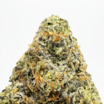 Black Raspberry Strain District Connect washington dc weed delivery
