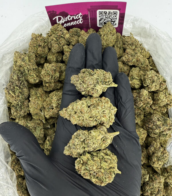 White Runtz Strain District Connect rva weed delivery