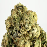 White Runtz Strain District Connect dmv weed delivery