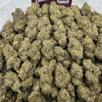 Chocolate Haze Strain District Connect dmv weed delivery