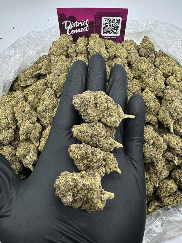 Chocolate Haze Strain District Connect washington dc weed delivery