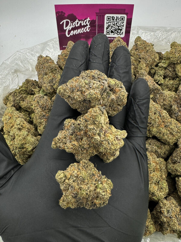Galactic Runtz Exclusive **OUT OF STOCK** - District Connect - Washington  DC i71 Weed Delivery