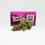 King Louie Louis 13 Strain District Connect maryland weed delivery